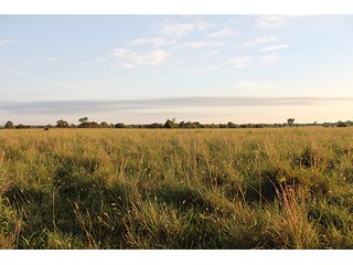 Tract 6 - LAND AUCTION - 440+/- Acres offered in 15 Tracts in Tulsa County